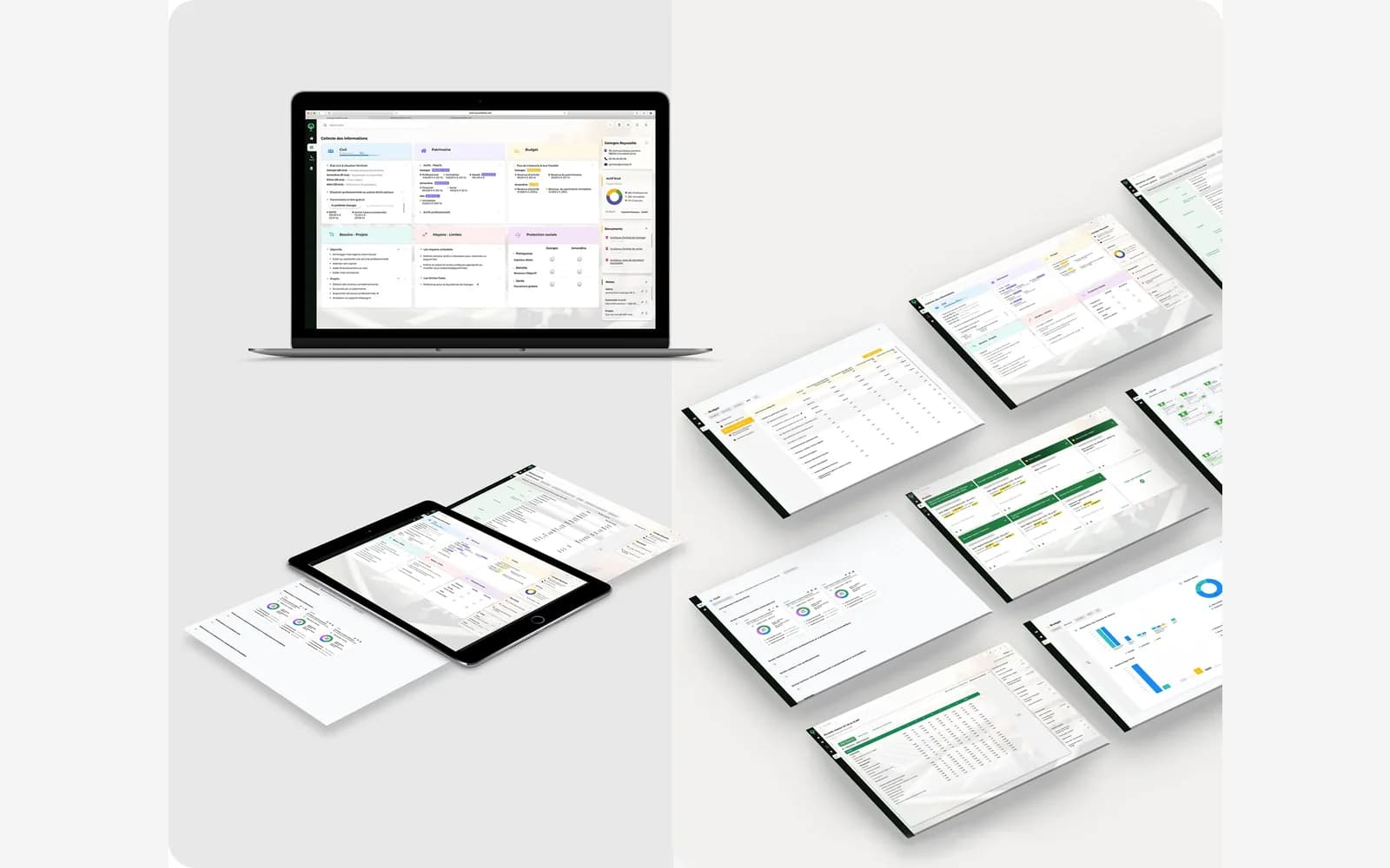 Responsive EASY wealth-management platform shown across desktop and tablet screens with portfolio, budget, tax, and reporting modules